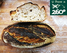 Pane Miglio-Re Extracotto