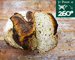 Pane Millesemi Extracotto