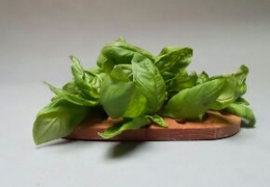 Basilico