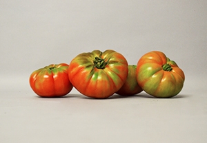 Pomodori da Insalata
