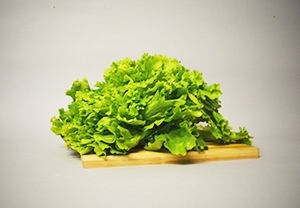 Scarola
