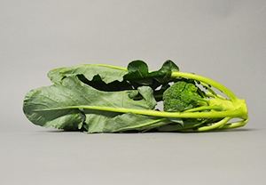 Broccolo Siciliano