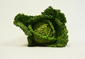 Verza Riccia