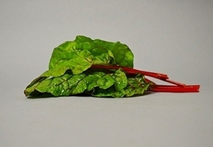 Bieta Rossa