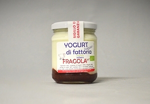 Yogurt Bio Fragola