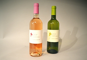 Saint Chinian Rosato - Linguadoca