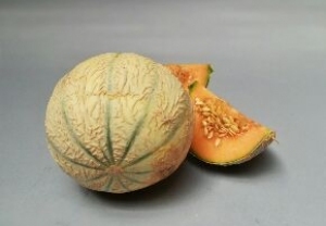 Melone