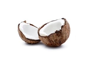Cocco