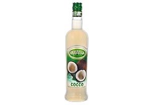 SCIROPPO ITALCORAL COCCO