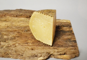 Rigatino Sardo