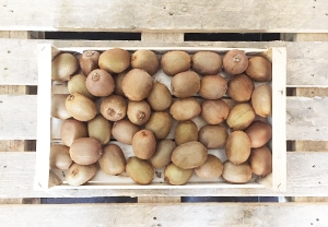 Consiglio del Produttore: Kiwi
