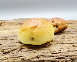 Bocconcini Olive - Roscioli