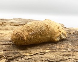 Panino Casereccio - Senza Glutine