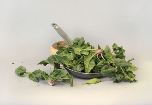 Spinaci