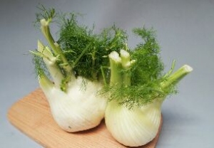 Finocchi