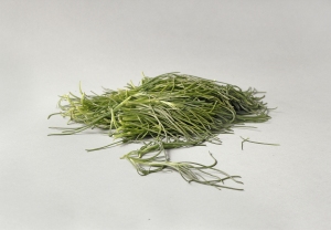 Agretti