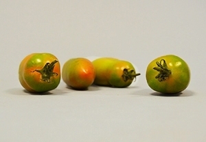 Pomodori Lunghi da Insalata