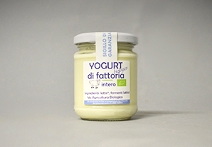 Yogurt Bio