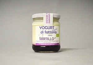 Yogurt Bio Mirtillo