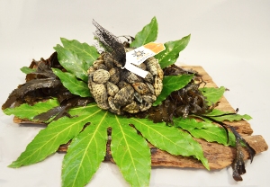 Vongole Veraci Sardegna
