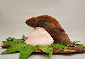 Sogliola di Mare
