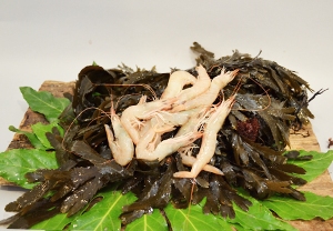 Gamberi Rosa