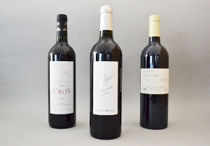 Bordeaux - Haut Medoc - Peylande - 2016