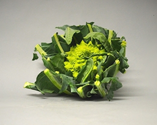 Broccolo Romanesco