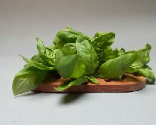 Basilico