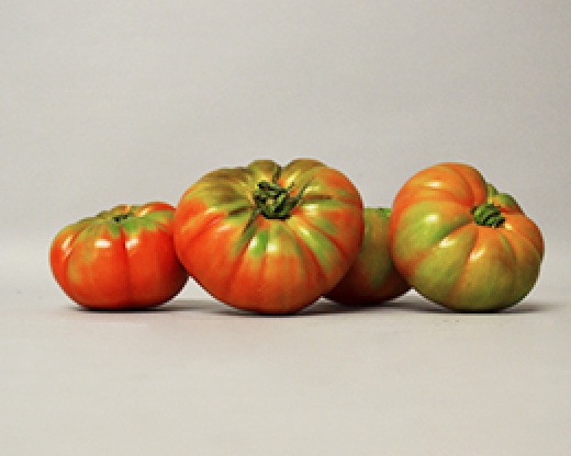 Pomodori Tondi da Insalata