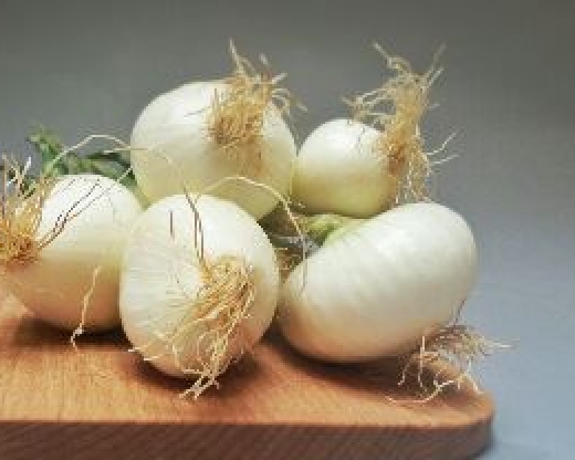 Cipollotti Freschi