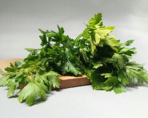 Prezzemolo