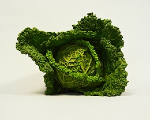 Verza Riccia
