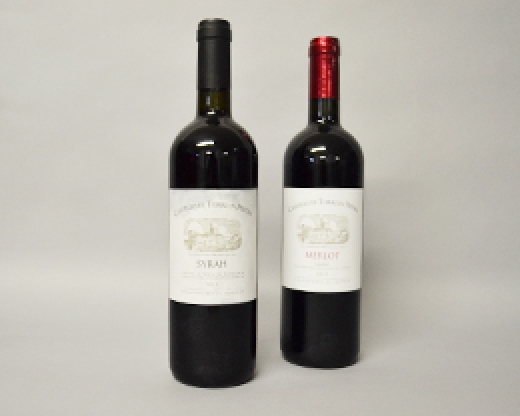 Syrah IGT Lazio Bio