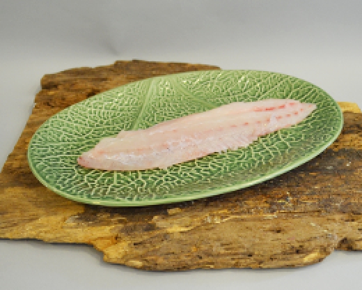 Filetto di Ombrina