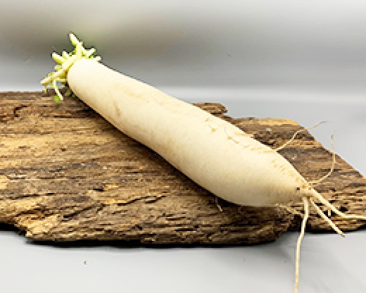 Daikon