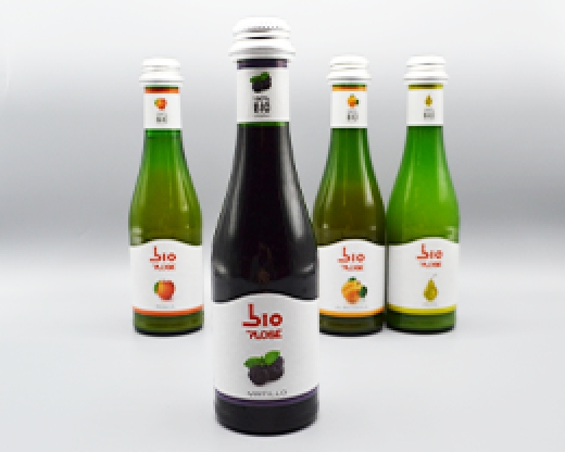 Succhi di frutta bio Plose Mirtillo - Roscioli