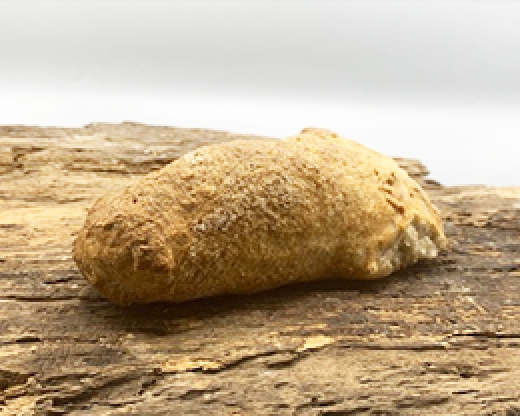 Panino Casereccio - Senza Glutine